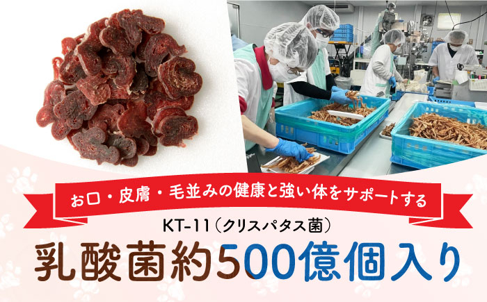 ドッグフード おやつ ペットフード 小型犬 中型犬 大型犬  トイプードル チワワ 柴犬 ミニチュアダックス ポメラニアン