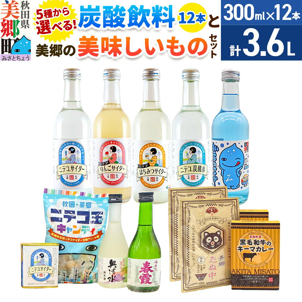 【ふるさと納税】炭酸飲料 【選べる炭酸飲料：ニテコサイダー／りんごサイダー／はちみつサイダー／青いミズモサイダー／ニテコ炭酸水】12本と美郷の美味しいものセット