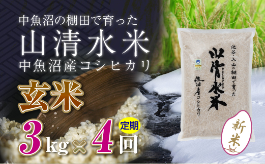 【令和8年産 新米】 【定期便／全4回】玄米3kg 新潟県魚沼産コシヒカリ「山清水米」
