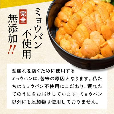 ふるさと納税 陸前高田市 【先行受付】 三陸産 生うに 250g(塩水パック) 無添加 ミョウバン不使用 ウニ 旬 新鮮 濃厚 |  | 02