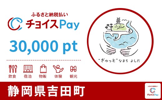 
                  静岡県吉田町チョイスPay 30,000pt【会員限定のお礼の品】
                