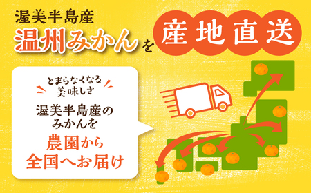  温州みかん 10 kg 訳あり 八木みかん園 農家直送