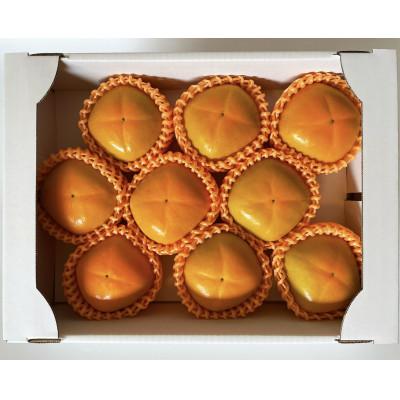 ふるさと納税 橋本市 【先行受付】キタヤマ果樹園のたねなし柿　9〜12個(2L〜3L)オリジナル化粧箱入り(オレンジ箱) |  | 01