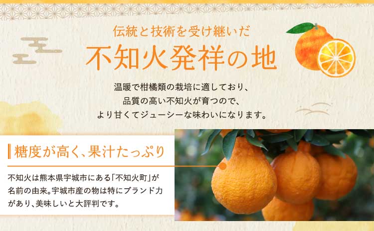 先行予約 不知火 【2026年3月上旬~2026年4月上旬頃発送予定】 宇城市産 ハウス栽培 プラズマ完熟不知火 約3kg（7～12玉前後） しらぬい みかん 蜜柑 柑橘 国産 九州 【株式会社la 