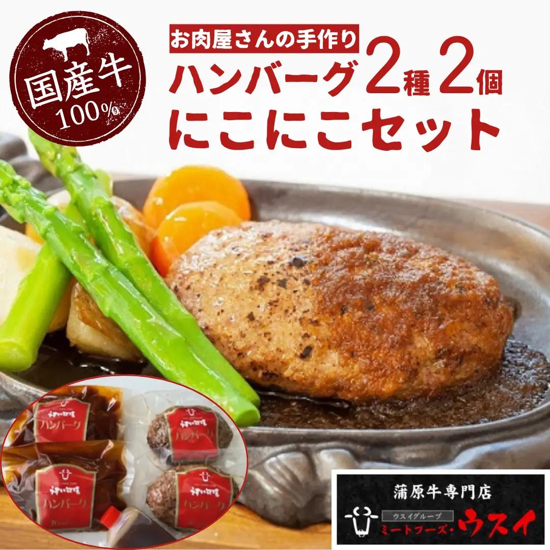 ミートフーズウスイ にこにこセット レストランハンバーグ 煮込みハンバーグ 国産牛 温めるだけで食べられる オリジナル 和風ソース ケチャップソース 湯煎 電子レンジ 父の日 1T08011