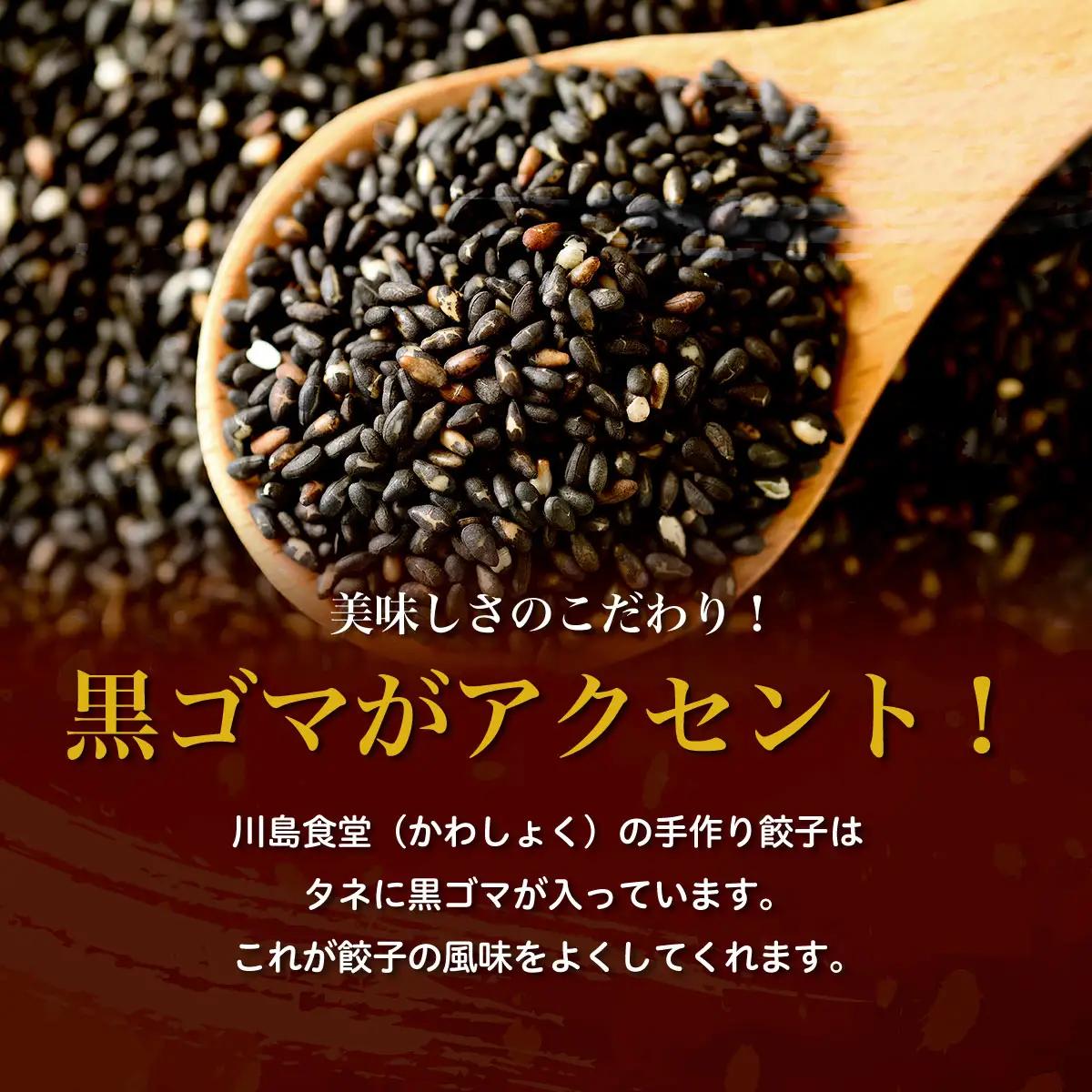 地元に愛される絶品手作り冷凍餃子60個 山武市産のニラをふんだんに使用！ ／ふるさと納税 餃子 キョウザ 冷凍 ニラ 中華 お惣菜 千葉県 山武市 SMBN002