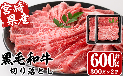 宮崎県産黒毛和牛切り落とし(計600g・300g×2P)牛肉 精肉 お肉 モモ 肩 カタ バラ ミックス 小分け すき焼き しゃぶしゃぶ 牛丼 肉じゃが 国産 冷凍【P-20】【南日本フレッシュフード株式会社(日本ハムマーケティング株式会社)】