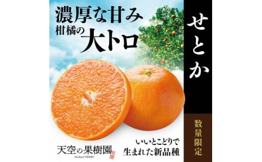 ＜せとか＞天空の果樹園から届くそらせとか ( 3.5kg )＜C45-74＞【1339373】