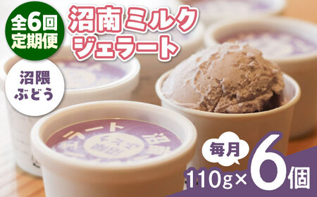 【全6回定期便】沼南ミルクジェラート 沼隈ぶどう ６個 [BAEC043]ジェラート
