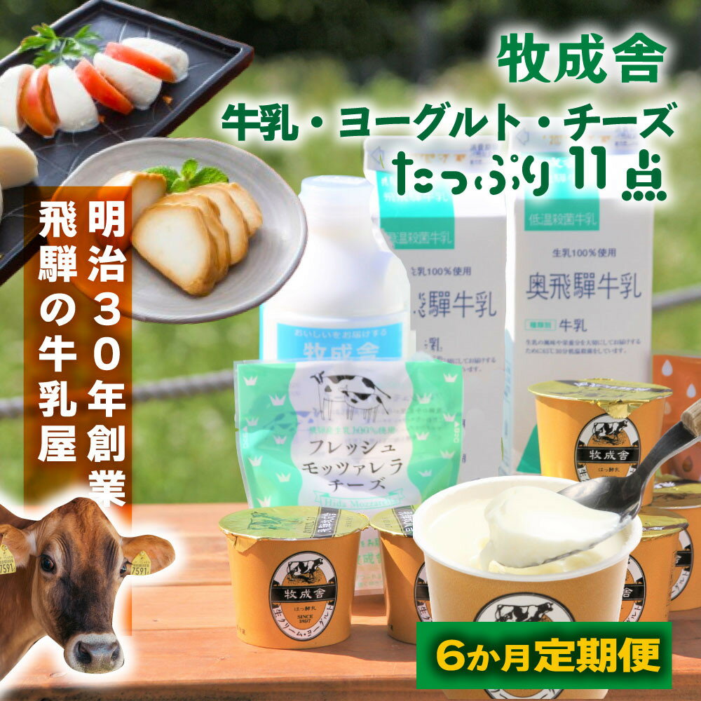 【ふるさと納税】6か月定期便【飛騨乳製品バラエティセット】牛乳・ヨーグルト・チーズ詰め合わせ　11点セット｜乳製品 習慣 詰合せ 家族 朝食 牧成舎 牧成舎 DF245