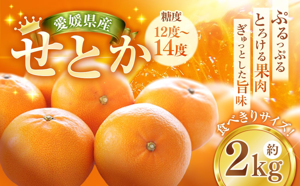 
                  せとか 約2kg みかん ミカン 蜜柑 柑橘 柑橘系 柑橘類 くだもの 果物 フルーツ 果実 果汁 果肉 国産 愛媛県産 愛媛みかん 濃厚 爽やか 香り 【2027年2月下旬-4月下旬発送予定】 ( 1117 )
                