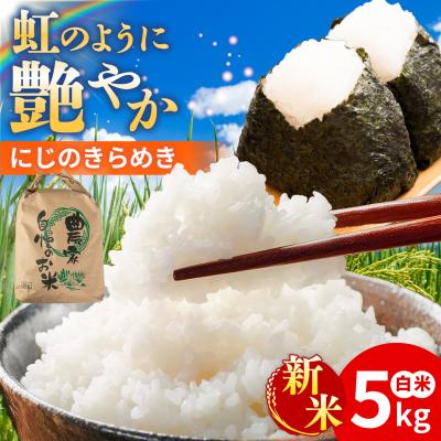 ふるさと納税 糸島市 にじのきらめき 白米 5kg 糸島市産 糸島市 / 糸島の恵み コメ こめ ご飯 [AGR004]