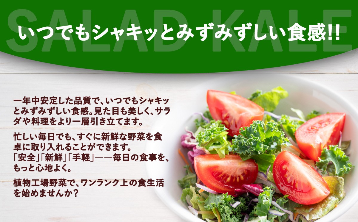 サラダケール 300g（約75g×4P）