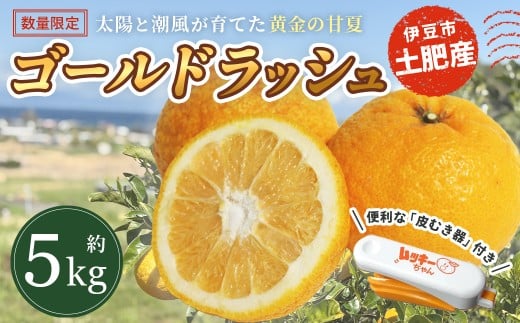 【26年発送・先行予約＆数量限定】伊豆 土肥産 甘夏みかん「ゴールドラッシュ」約5kg（皮むき器付き） /  甘夏 みかん 柑橘 ブランド ゴールドラッシュ 産地直送 期間限定 数量限定 希少 糖度 フルーツ ギフト 旬 お取り寄せ 青木ファーム 伊豆 静岡
