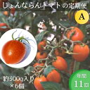 【ふるさと納税】モリヒロ園芸が育てたじょんならんトマトの定期便A　約300g×6個入り（年間11回）　【定期便・ 野菜 ミニトマト 甘い フルーツ サラダ 】　お届け：ご寄附（入金）頂いた月の翌月回より年間スタート致します