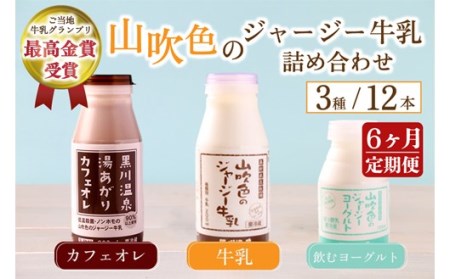 【6ヶ月定期便】 山吹色のジャージー牛乳 人気3種セット 定期便 3種 12本 ジャージー牛乳 牛乳 飲むヨーグルト カフェオレ コーヒー牛乳 6回 黒川温泉 詰め合わせ アソート セット 乳製品 飲料 健康 腸活 免疫力アップ 乳酸菌 ご当地牛乳グランプリ 最高金賞 ご当地 ギフト 贈答用 山のいぶき 熊本 阿蘇 南小国町 送料無料