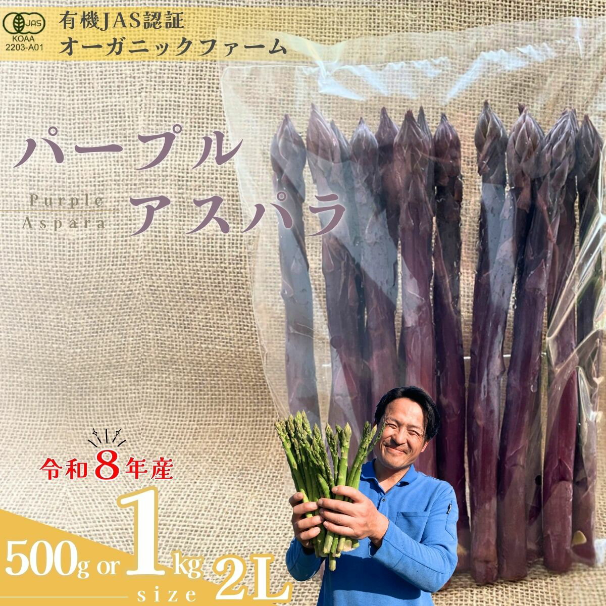 【ふるさと納税】【先行予約】オーガニック パープルアスパラガス 2L 500g or 1kg | オーガニックアスパラ 有機JAS認証 パープルアスパラガス 2Lサイズ 新鮮野菜 産地直送 500g 1kg 春野菜 自然栽培 循環型農法 甘い 香り豊か 野菜ギフト 旬 お取り寄せ野菜 山口県 宇部市