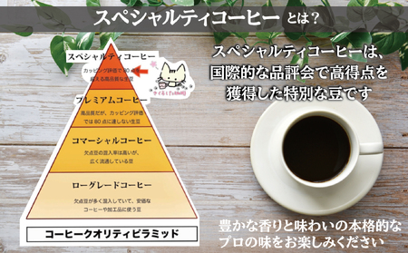 スペシャリティコーヒードリップバッグコーヒー飲み比べ３種セット（ブレンド2個・マンデリン・カツーラ各12g）×2セット 計8個 |  ドリップコーヒー アソート  珈琲 オフィス 贈答 ギフト プレゼ