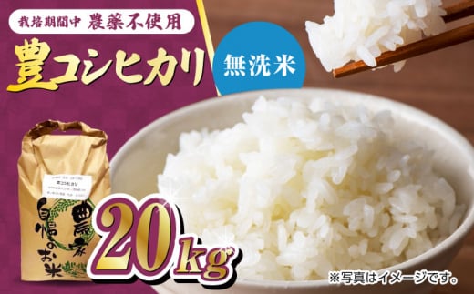 【11月以降順次発送】栽培期間中農薬不使用 令和6年産 新米 豊コシヒカリ 精米 無洗米 20kg /鶴ノ原北川農園 [UDL020] 白米 米 お米 こめ 白米 精米 ブランド米