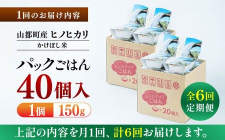 【全6回定期便】 【数量限定】いちょうの畑 パックご飯 ヒノヒカリ 150ｇ×40パック 白米パックご飯 精米 ご飯 ごはん パックご飯 ヒノヒカリ 掛け干し米 かけほし米 お米 ひのひかり レトルト