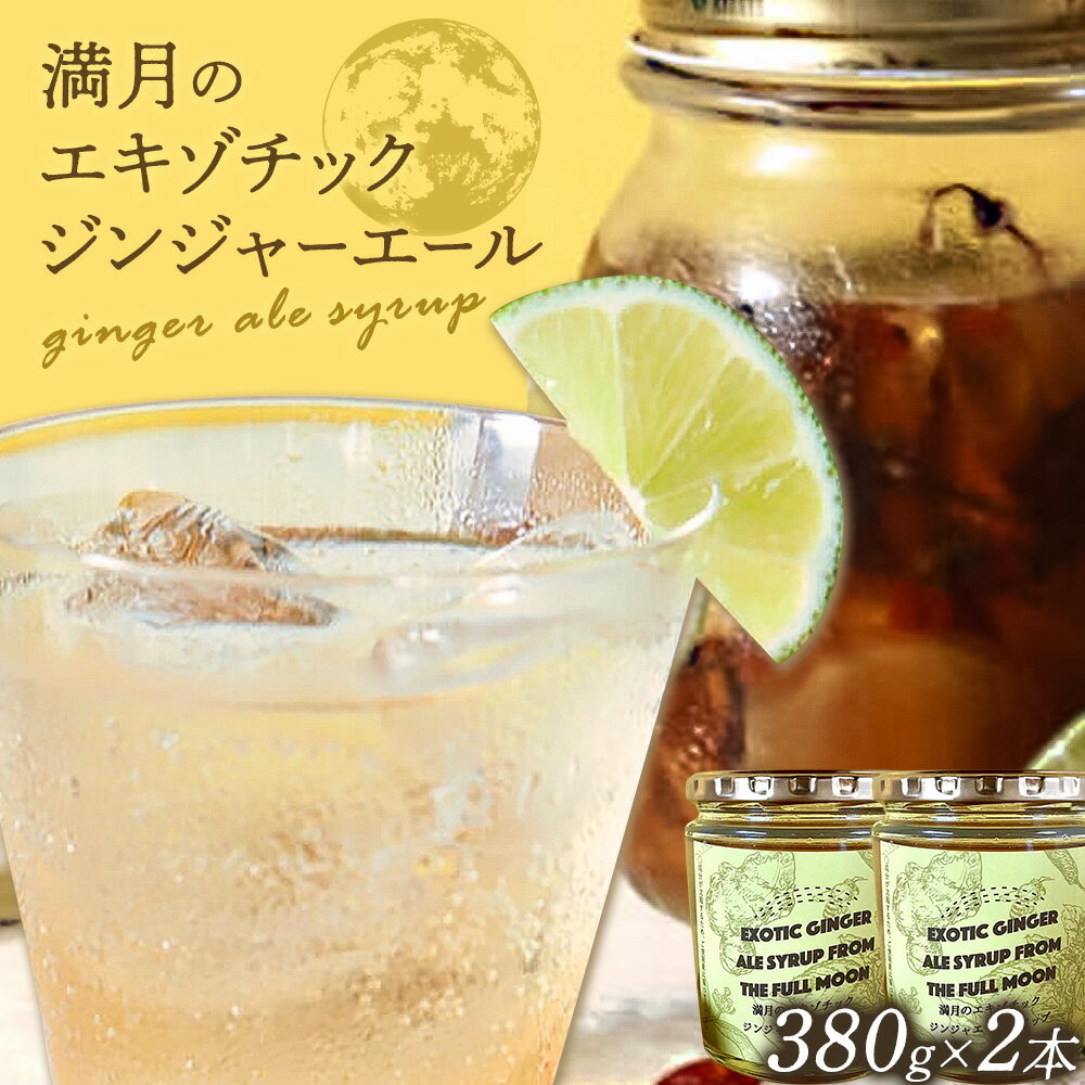 【ふるさと納税】満月のエキゾチックジンジャエール 320ml×2瓶セット 濃縮タイプ 1瓶約7～8杯分 TABEL株式会社《30日以内に出荷予定(土日祝除く)》 │ ジンジャーエール 炭酸割り ジンジャー シロップ ドリンク ソフトドリンク 飲み物 飲料 お取り寄せ 徳島県 佐那河内村