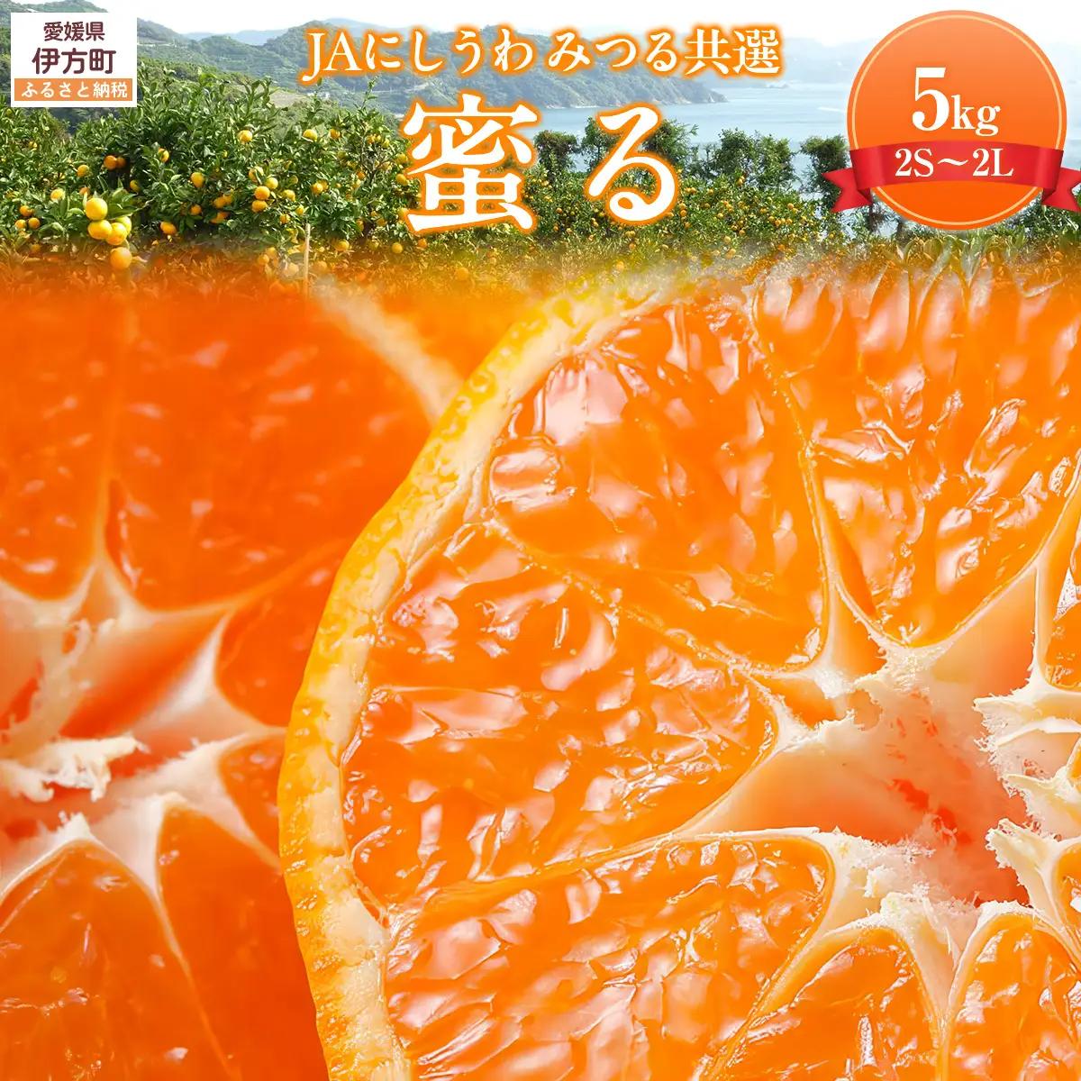 JAにしうわ みつる共選 「蜜る」5kg（2S～2L）2.5kg×2箱 ※離島への配送不可（2026年11月中旬より順次発送予定） 【 柑橘 ミカン みかん 蜜る 生果 】 IKTBC012
