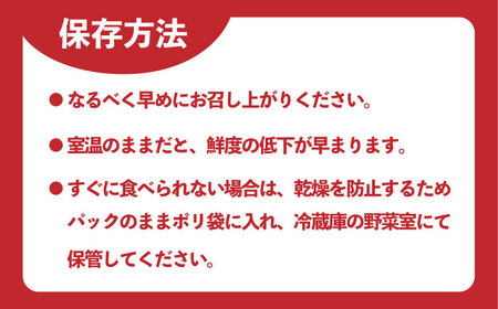 【先行予約】佐賀のブランドいちご いちごさん 約1kg（約250g×4p）/中村青果店 [UDK007] いちご イチゴ 苺 果物 フルーツ
