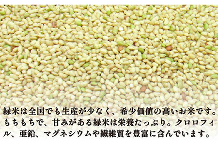 古代米　壱岐原の辻遺跡　黒米1kg、赤米1kg、緑米1kg[JDB126]