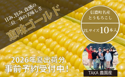 2026年夏の早期予約受付開始！TAKA農園『恵味（めぐみ）ゴールド』２Lサイズ（1本450ｇ相当）×10本セット｜生でも食べられる信濃町名産とうもろこし／スイートコーンの人気品種 令和8年7月下旬～8月下旬に出荷予定 【長野県信濃町ふるさと納税】