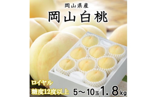 ＜先行受付＞岡山白桃 ロイヤル 5～10玉 1.8kg 岡山県産【1305703】