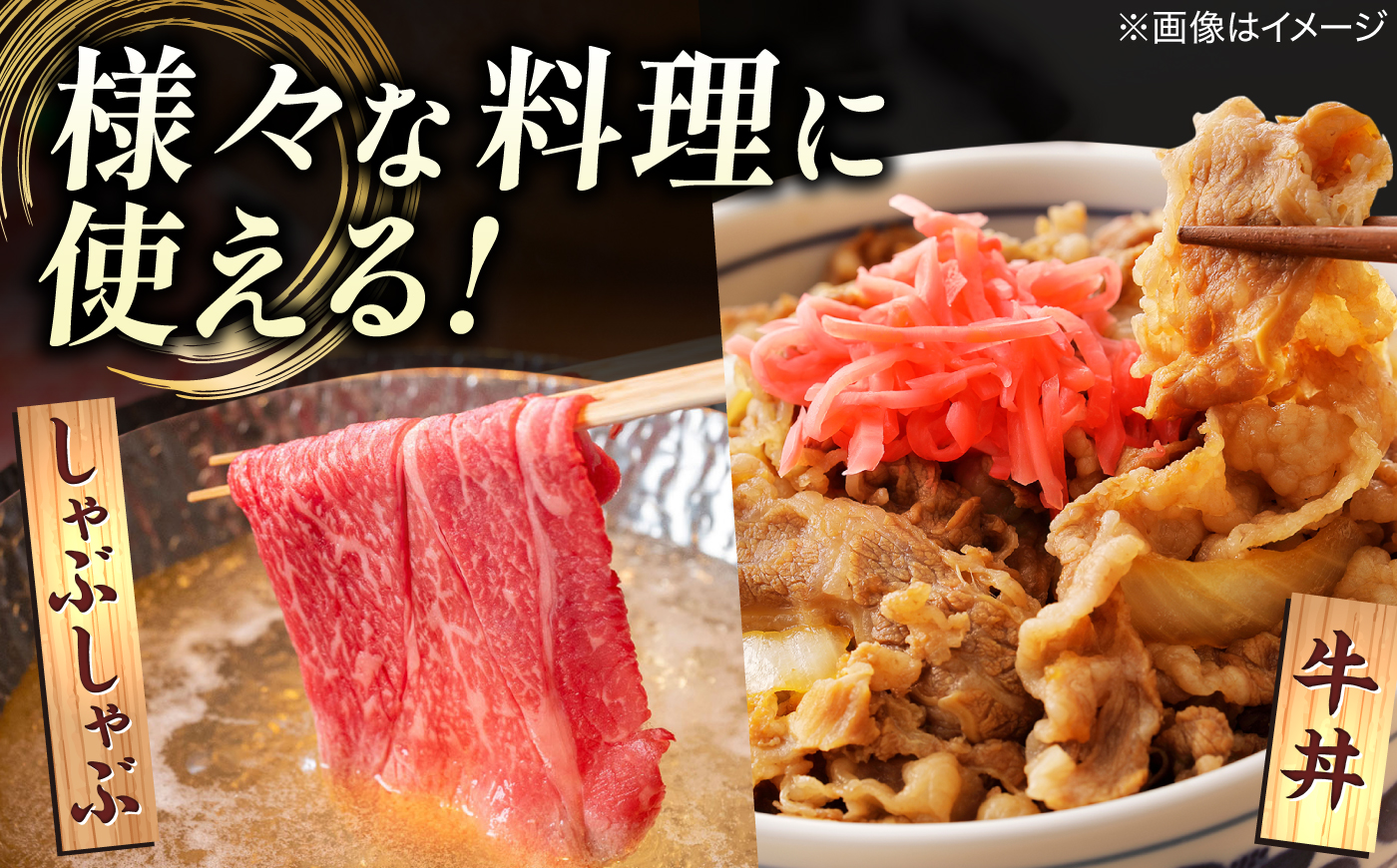 最高級品質の和牛肉！しまね和牛 ロースすき焼き用 500g（250g×2パック） 島根県松江市/有限会社宮本食肉店 [ALCV014]