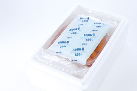 エゾバフンウニ塩水パック100～110g×2P[11月上旬以降発送] C-24003