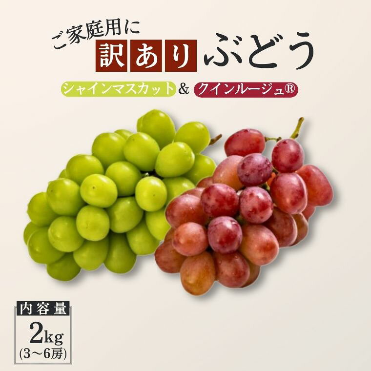 【ふるさと納税】【家庭用】ぶどう2種セット（シャインマスカット／クイーンルージュ）約2kg[TK36] ／ 2026年9月下旬～10月頃 配送予定//長野県 南信州 種なし 皮ごと 食べ比べ 詰め合わせ お試し 訳あり お取り寄せ シャイン マスカット ルージュ クイーン 新鮮 希少