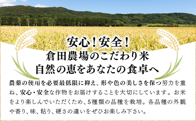 令和7年産 北海道岩見沢市産 おぼろづき玄米10kg ≪沖縄・離島配送不可≫