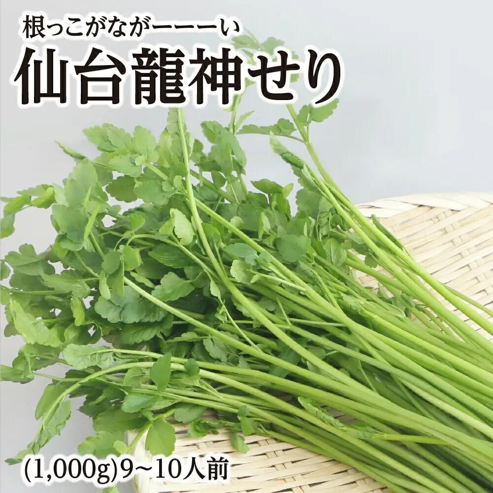 【期間限定】根っこがながーーーい 仙台龍神せり(1,000g)9～10人前