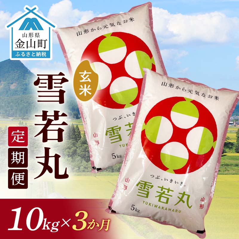 【ふるさと納税】令和7年産 金山産米 雪若丸【玄米】（5kg×2袋）×3ヶ月 定期便 計30kg 3ヶ月 米 お米 ご飯 玄米 ブランド米 送料無料 東北 山形 金山町 F4B-0689