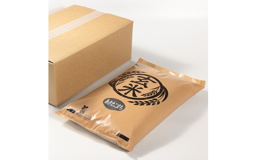 ＜毎月定期便＞あきたこまち 玄米 10kg(5kg×2袋)全3回【4093725】