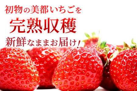 A-696 【初物！農家直送】美都いちご（350g×2パック）