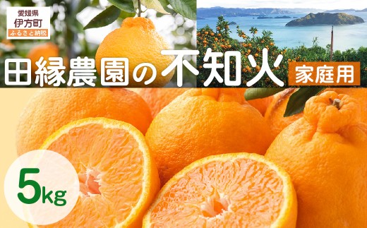 【先行予約】【家庭用】不知火 5kg ※離島への配送不可 （2027年2月10日より順次発送） 【 ふるさと納税 人気 おすすめ ランキング みかん ミカン 蜜柑 不知火 しらぬい フルーツ 果物 愛媛県産 田縁農園 愛媛県 伊方町 送料無料 】 IKTA035
