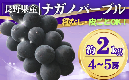 【2026年先行予約】ぶどう ナガノパープル 約2kg(4~5房)｜ ぶどう