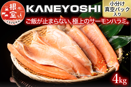 とろサーモンハラミ4kg B-09013