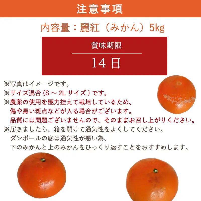 『先行予約』【令和9年1月下旬発送】麗紅(れいこう）ハウス栽培 唐津産 5kg 混合サイズ みかん 蜜柑 柑橘 果物 フルーツ