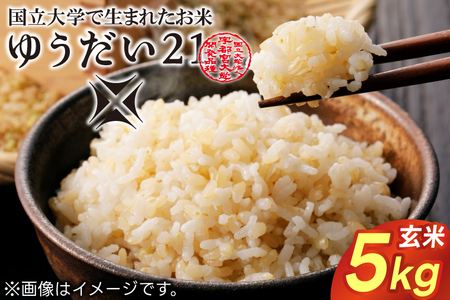 令和7年産 ゆうだい21 玄米 5kg DQ008