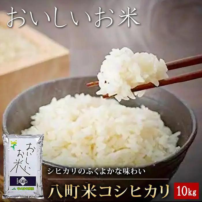 【令和7年産】八町米 コシヒカリ１０Kg