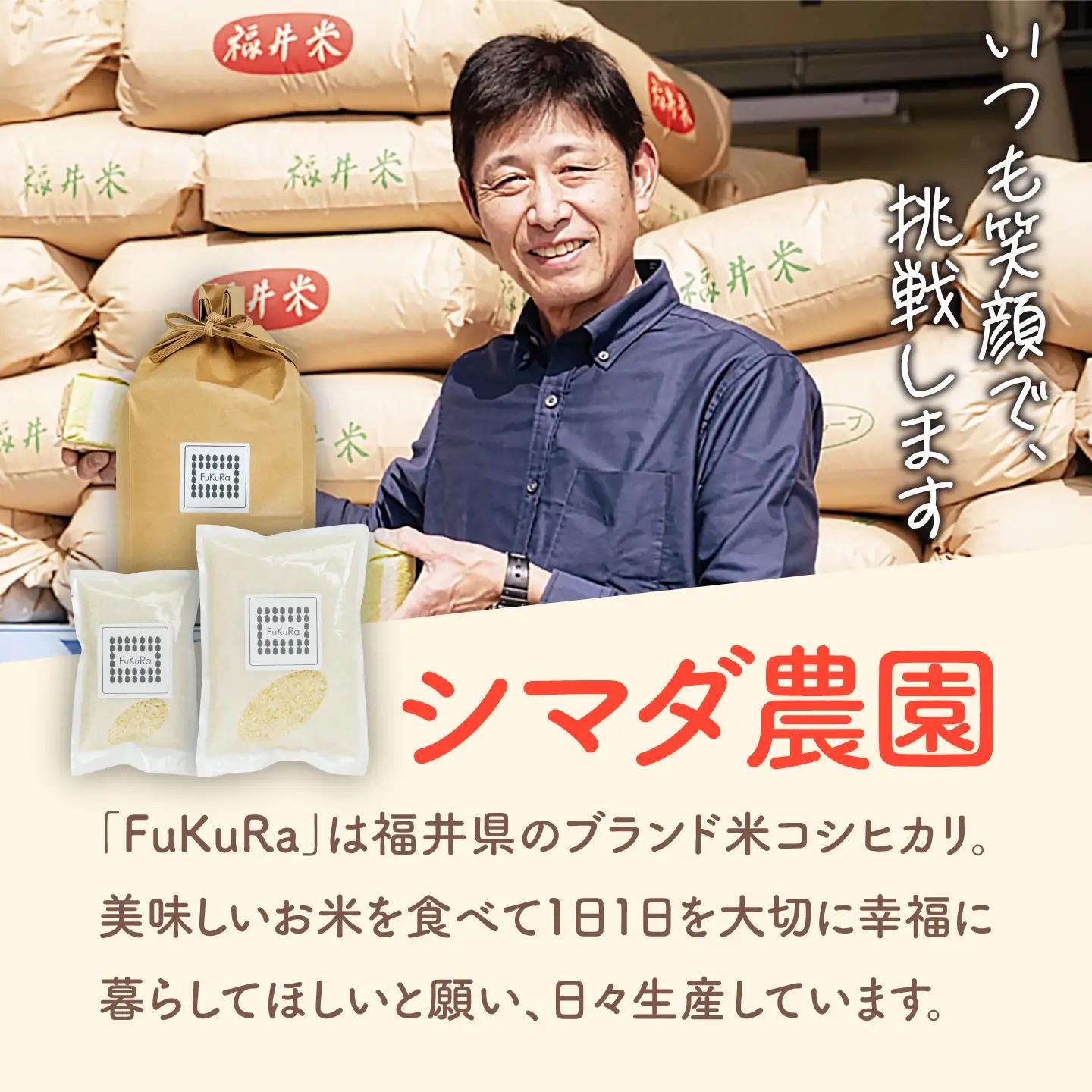 福井県産 こしひかり 『FukuRa』（ふっくら） 1合パック×10パック （150g×10袋） 合計1.5kg  一人用[BFAV015]