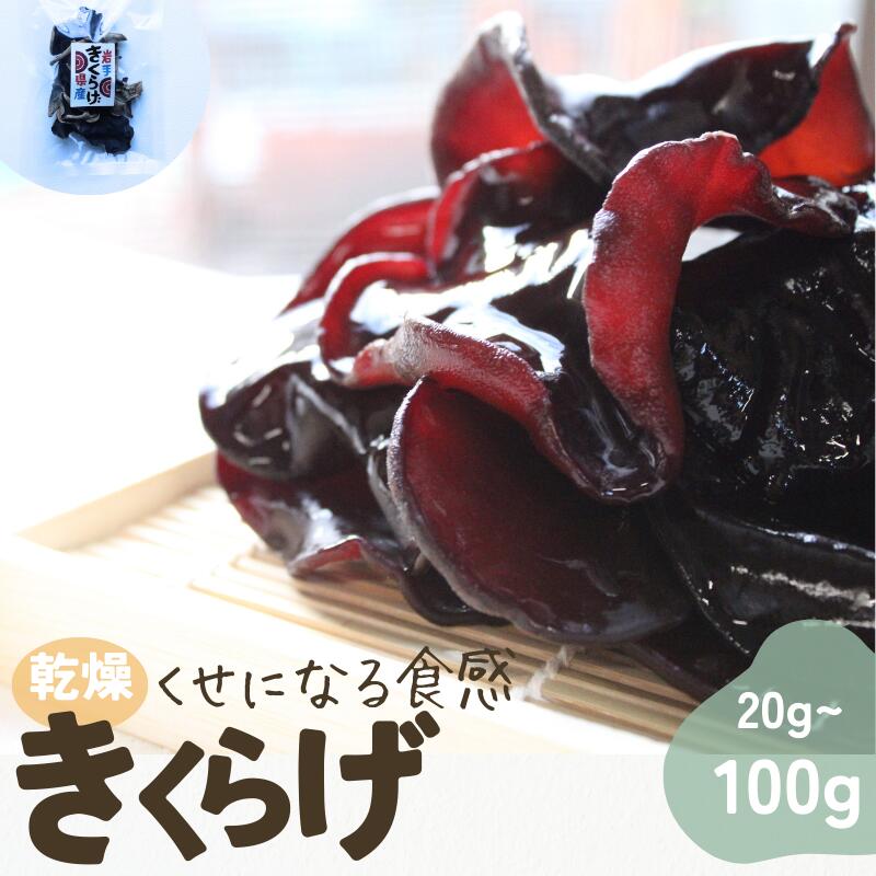 【ふるさと納税】岩手県産 乾燥きくらげ 20g〜100g コリっとプルプル食感がたまらない国産きくらげ / 国産 乾燥 きくらげ 中華料理 炒め物 栄養豊富 健康 きのこ おつまみ おかず 保存食 送料無料 [#0119-0124_pre]