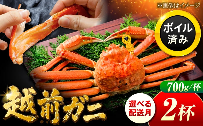 
                  【先行予約/11月7日より順次発送】【希望月指定可】 越前がに 700ｇ×2杯 / 蟹 ズワイガニ ずわいがに ボイル 冷蔵 小浜市 / まるほ商店 【配送不可地域：北海道・沖縄・離島】[BFCS022]
                