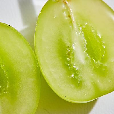 ふるさと納税 山梨市 【発送月固定定期便】【訳アリ】山梨の桃とシャインマスカット全2回 |  | 03