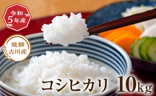 令和5年産 飛騨古川産コシヒカリ 10kg 10キロ お米 精白米