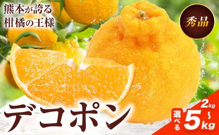 
            デコポン 選べる 内容量 約2kg～約5kg 日本フルーツ株式会社 熊本県 長洲町 《1月下旬-2月末頃出荷予定》 デコポン 果物 秀品
          